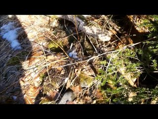 Native American Artifacts - Relic Hunting Maine