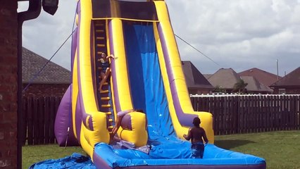 Dog sliding down water slide