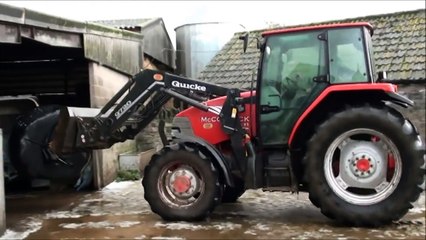 feeding heifers round bale silage