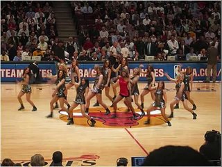 Chicago Bulls - LuvaBulls