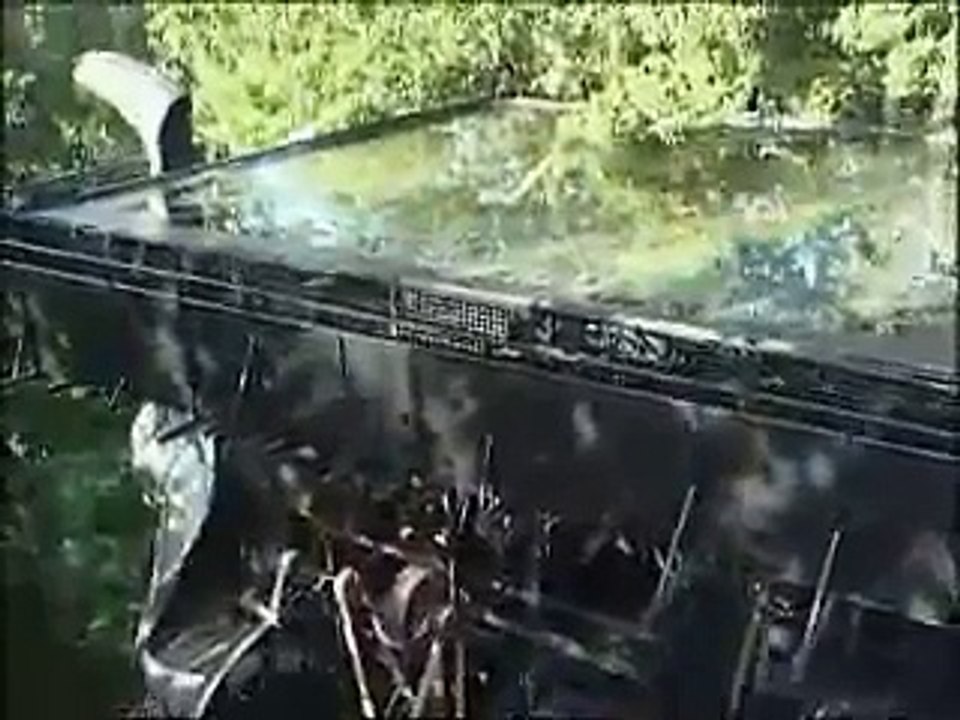 Le monstre dans la forêt (Le Cyclop de Jean Tinguely)