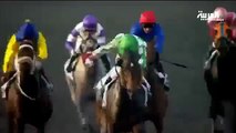 سباق الخيول في دبي يقدم جوائز تتجاوز 25 مليون دولار 2013