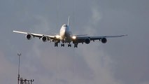 Boeing 747-8 BBJ crosswind landing Qatar Amiri A7-HJA @ Euroairport MLH/BSL LFSB