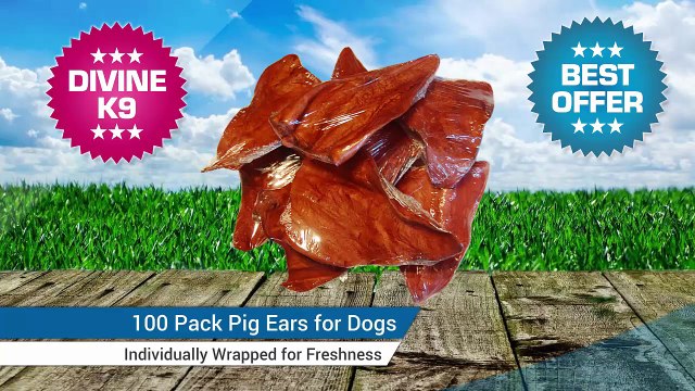 100 Pack Premium Pig Ears for Dogs - Individually Wrapped