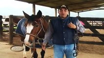 UC - Programa Horse Brasil - Como colocar a embocadura da maneira correta