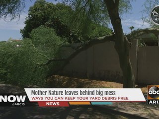 Mother Nature leaves behind big mess