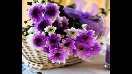 CLAUDITZA  SI O ZANA.