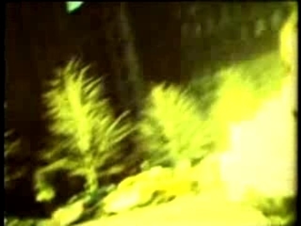 Zenzilesmelltheroses Vidéo Dailymotion