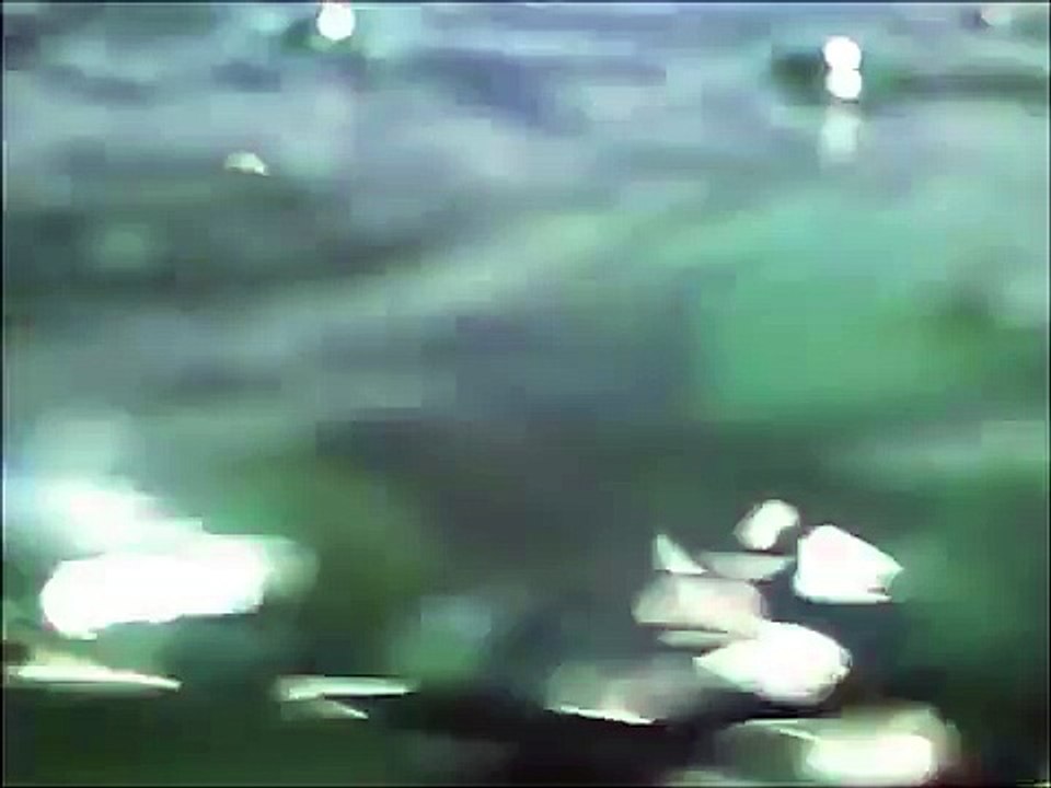 Snorkeling in Navarre