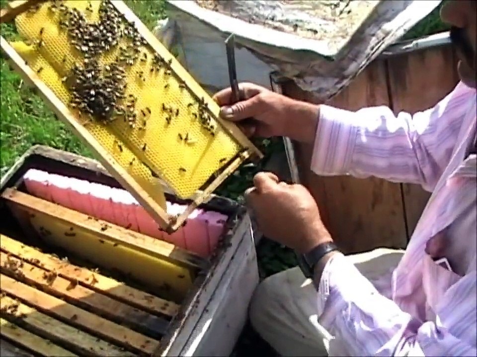 Sivas İmranlı TÜRKKEŞLİK KöYü Belgesel  kıvamında Arıcılık hakkında kucuk bir söyleşi