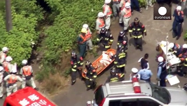 Япония: самоубийство в скоростном поезде