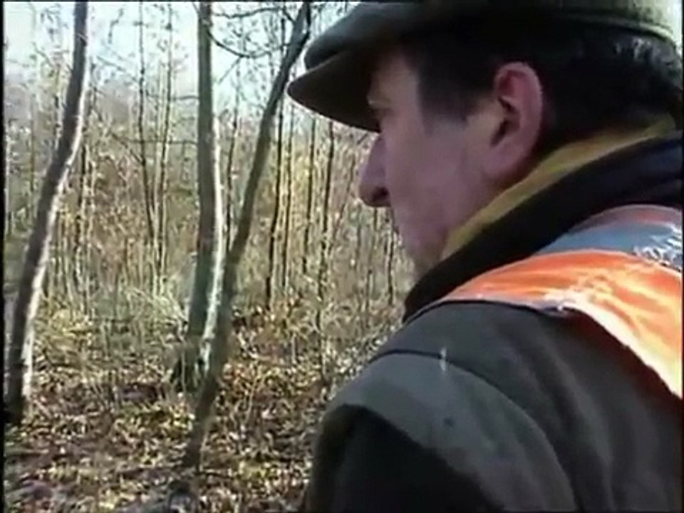 battue d'arc en barrois