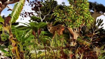 Peru: Kaffeebauern als Waldschützer  | Global 3000