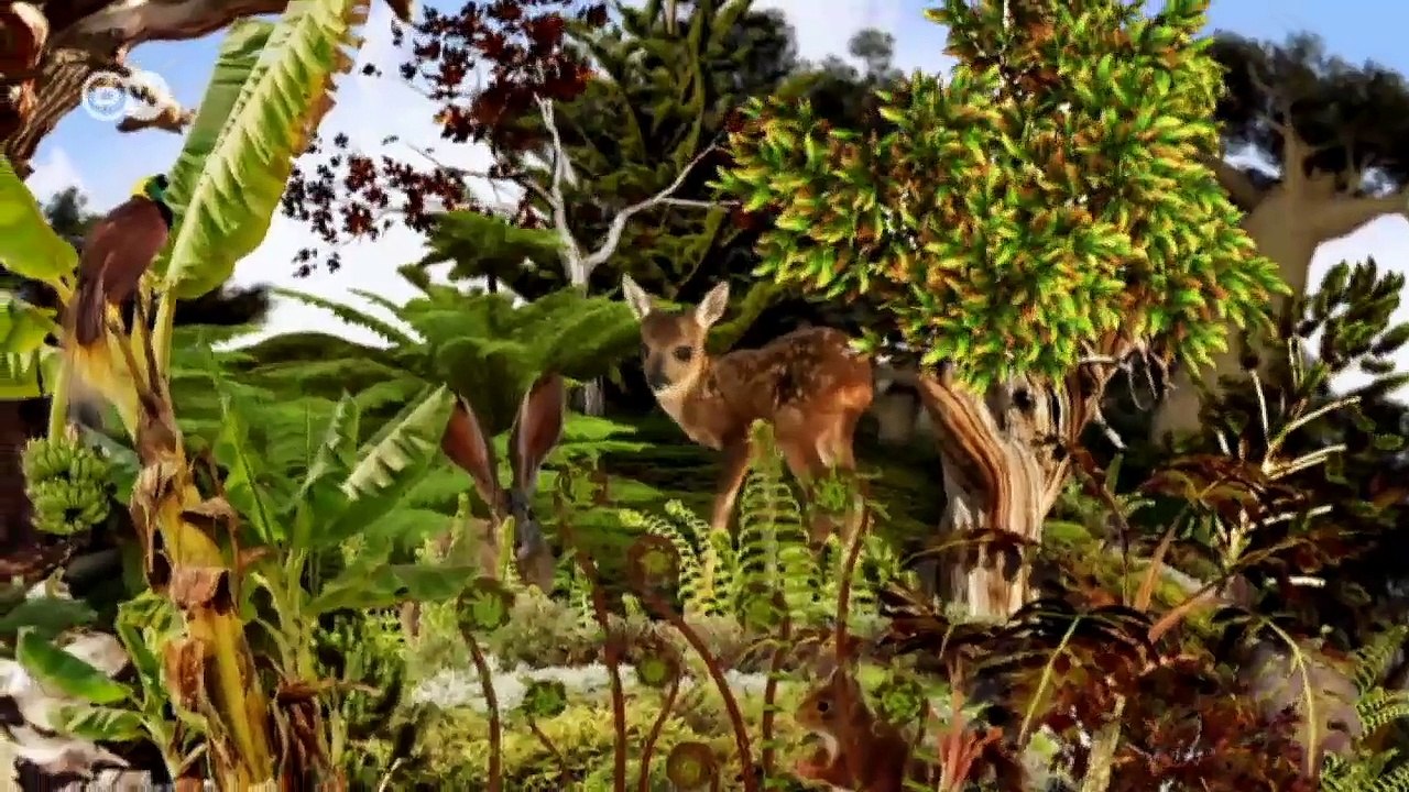 Peru: Forestry protection by coffee farmers | Global 3000