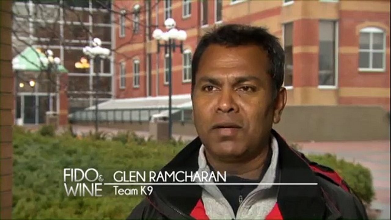 Best Tracking and Detection Dog Training By Team-K9