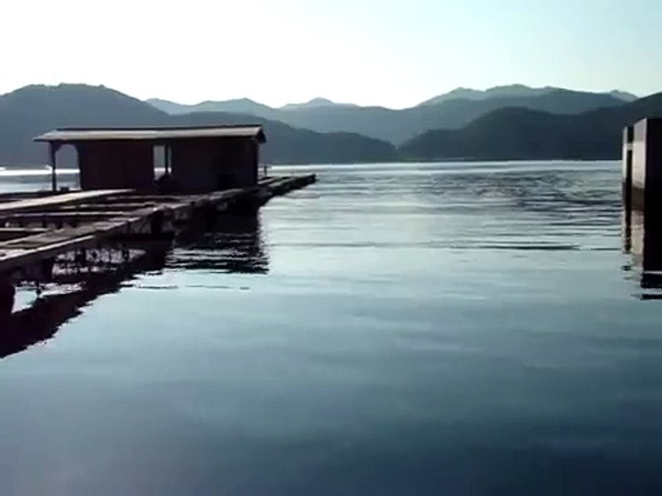 チヌ釣りでのウキのアタリ