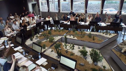 Conseil municipal du 30 juin 2015