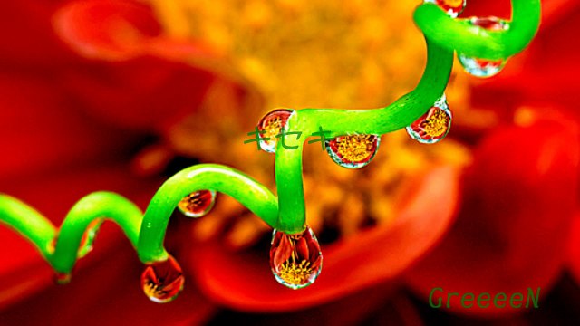 【J-pop 名曲オルゴール -10- 】「キセキ」GreeeeN