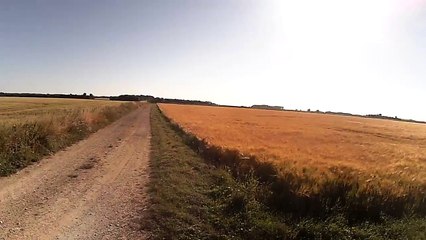 Lièvre vient nous faire coucou