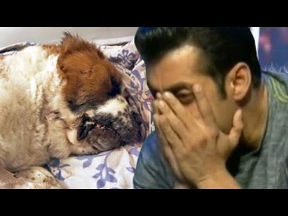 Salman Khan MOURNS OVER Death of his pet dog 'Saint'