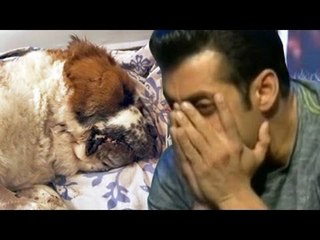 Salman Khan MOURNS OVER Death of his pet dog 'Saint'