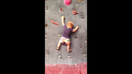 Un bébé monte un mur d'escalade de 2m