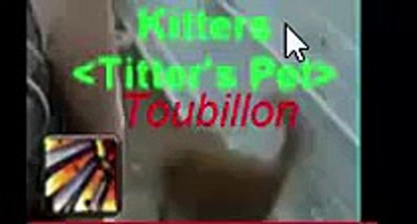 Un chat qui fait le tourbillon des lames ! (World Of Warcraft)
