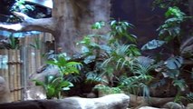 Barcelona ZOO- Terrarium