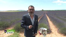 La Provence au Galaup (30/06/15) - L'ovni de Valensole