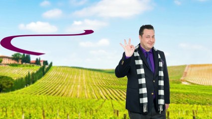 Weingut Ochs - Kölner Weinwoche