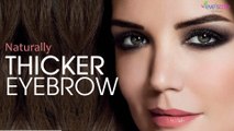 Grow Thicker Eyebrows Naturally
