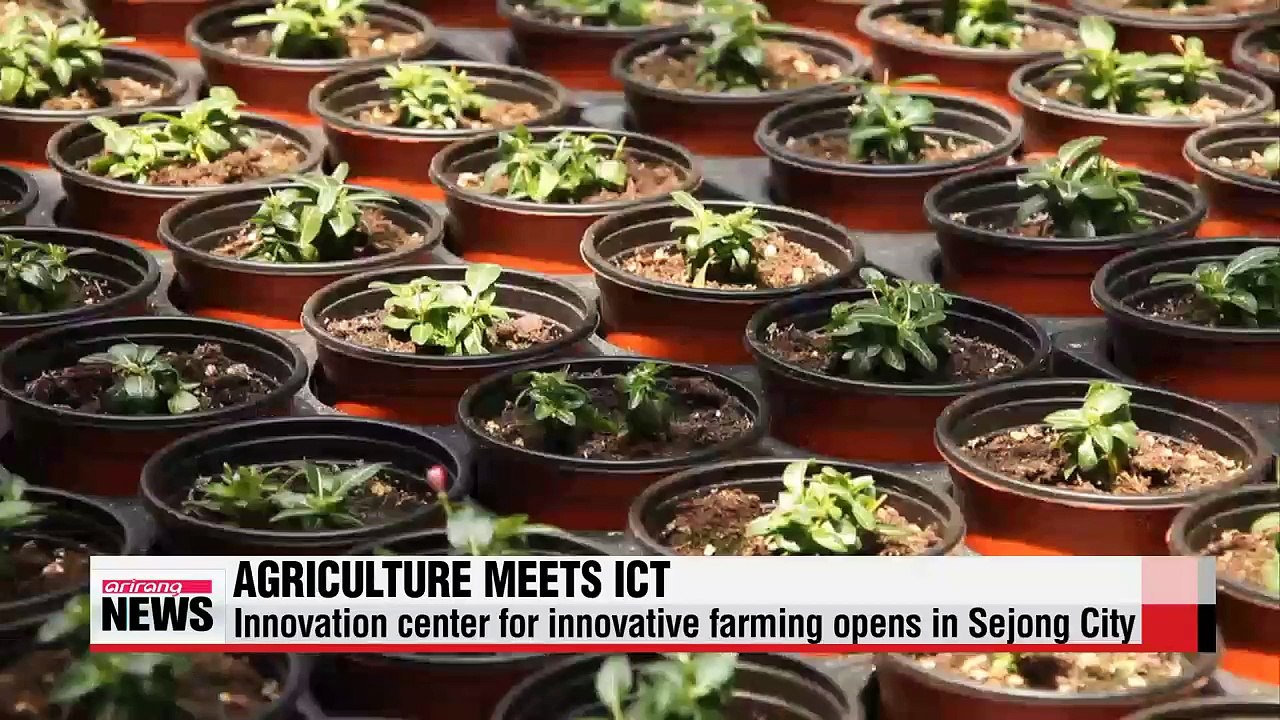 Agriculture meets ICT: Sejong Innovation Center for creative economy