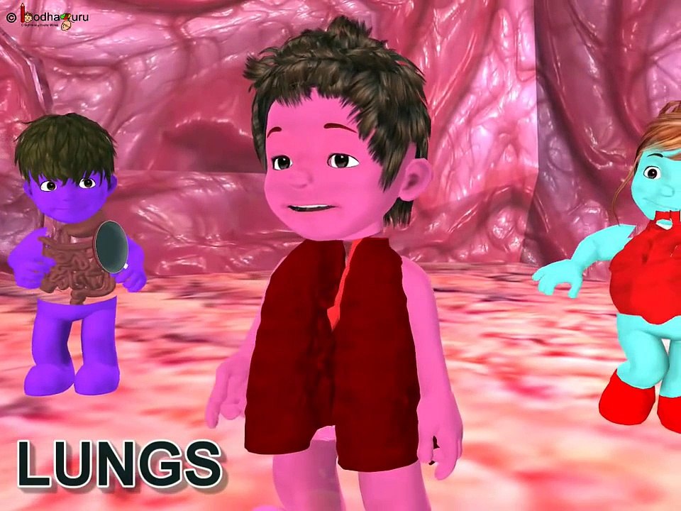 Science - Human Body Organ systems - English