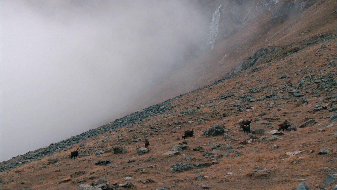 Parc national des Écrins (tour de France de la biodiversité 20/21)