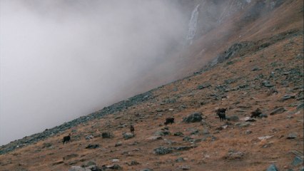 Parc national des Écrins (tour de France de la biodiversité 20/21)