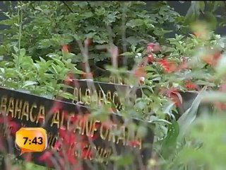 Empresaria cartaginesa ofrece opciones naturales para mejorar su salud