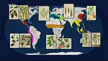 Download Video: Mit offenen Karten - Geographie der Ernährung - Die Geschichte (1/3)