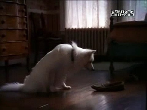 Courage The Cowardly Dog MIDNIGHT (Live Action) Promo Commercial