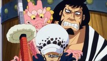 One Piece Law getting absorbed into the Straw Hats culture