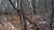 More Dogman/Bigfoot Structures in Rock County, Wisconsin found 12/14