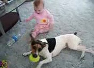 Dog and Kid Very funny videoo