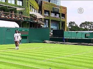 Уимблдон-2015: Шарапова и Уильямс о своих шансах