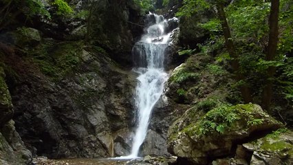 A Fine Local Waterfall in Japan 「名瀑　象ヶ滝」Zou-ga-Taki (30m)