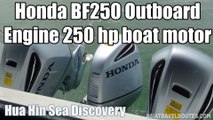 Honda BF250 Outboard Engine 250 hp boat motor Hua Hin Sea Discovery