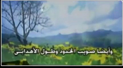 شيله ياحسين كلمات الشاعر سفر العتيبي اداء مخلد السحيمي