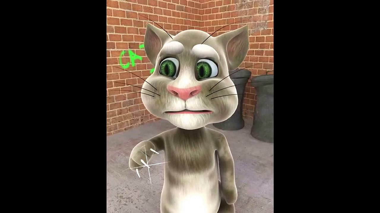 Tests de Tom le chat