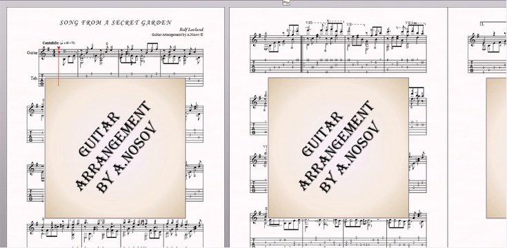 Song From a Secret Garden (R.Lovland) Sheet music for guitar