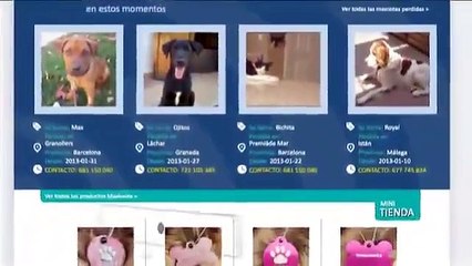 Localizador de mascotas, de personas y de coches. Maskoota, iSanitaria, QRPager.