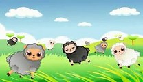 Baa Baa Black Sheep - Children's Nursery Rhymes song by EFlashApps- Video -cartoon