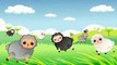 Baa Baa Black Sheep - Children's Nursery Rhymes song by EFlashApps- Video -cartoon